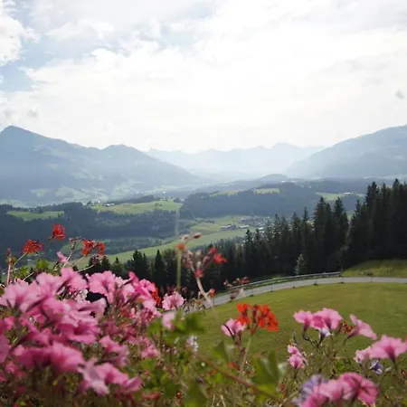 Wandhof *